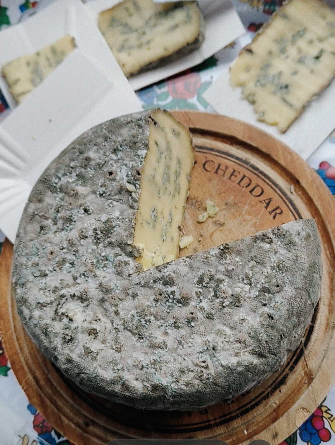 Ser typu Roquefort – prelekcja