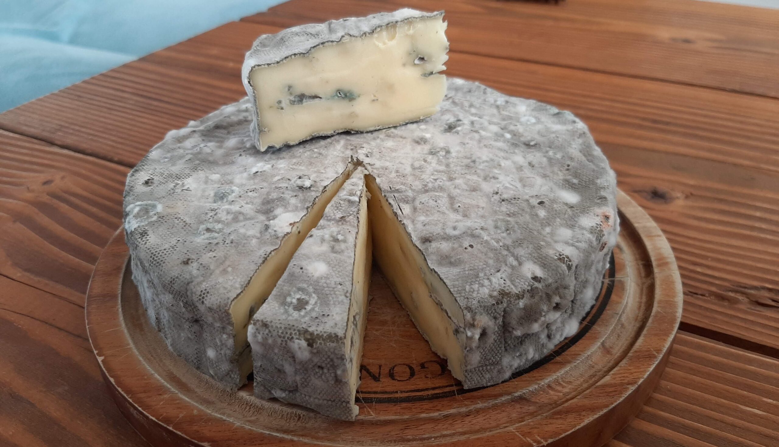 Ser typu Roquefort – warsztaty